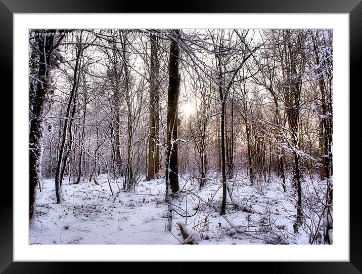 'Watnall Woods' Framed Mounted Print by Rob Booth