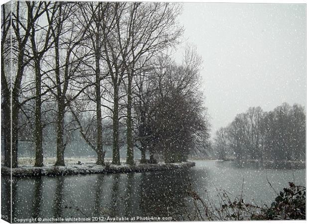 River in a blizzard Canvas Print by michelle whitebrook