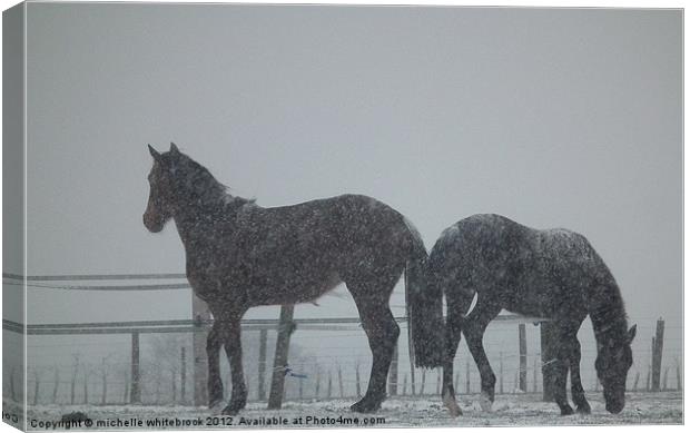 Horses in a blizzard Canvas Print by michelle whitebrook