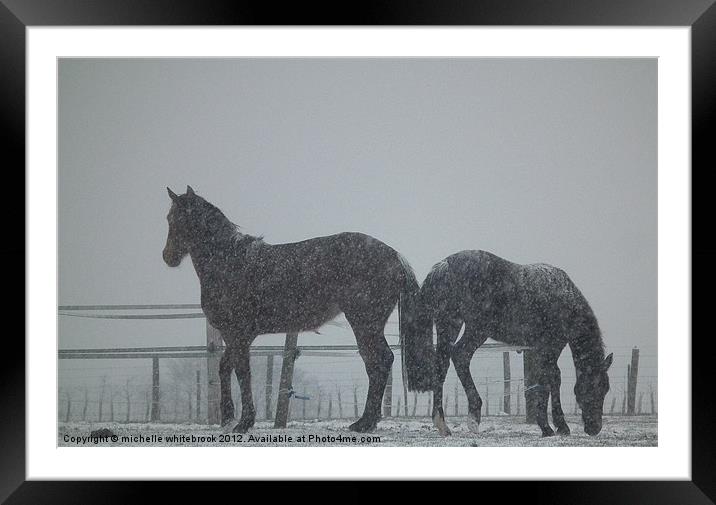 Horses in a blizzard Framed Mounted Print by michelle whitebrook