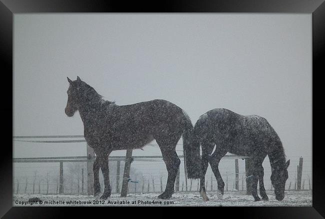 Horses in a blizzard Framed Print by michelle whitebrook