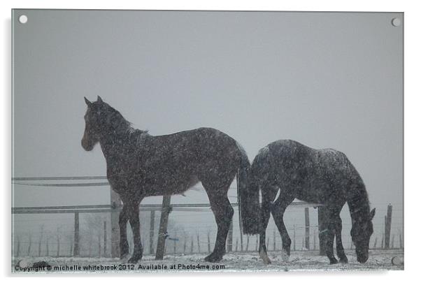 Horses in a blizzard Acrylic by michelle whitebrook