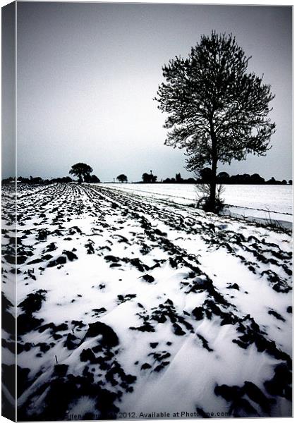 Norfolk Winter landscape Canvas Print by Darren Burroughs