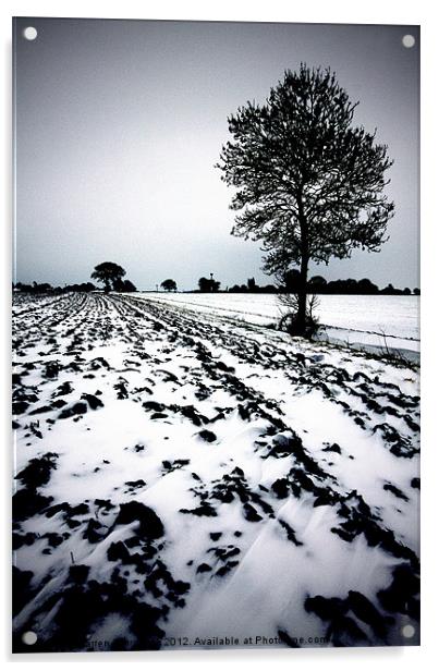 Norfolk Winter landscape Acrylic by Darren Burroughs