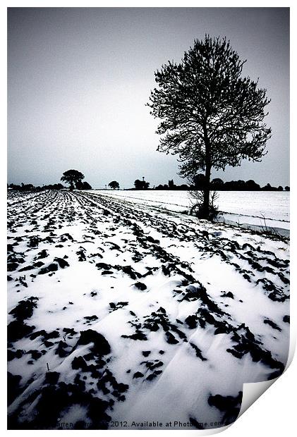 Norfolk Winter landscape Print by Darren Burroughs