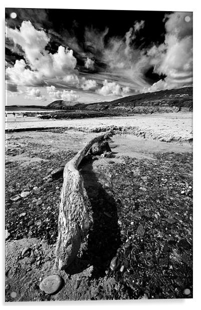 Driftwood Monochrome Acrylic by Steve Purnell