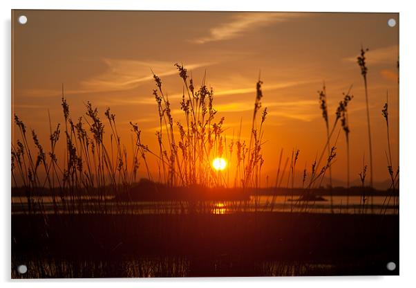 sunrise at Cae Glas Acrylic by Gail Johnson