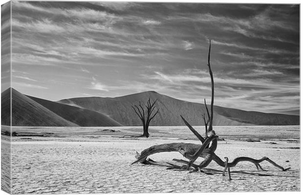 Dead Tree Desert Namibia Canvas Print by Ian McMurray