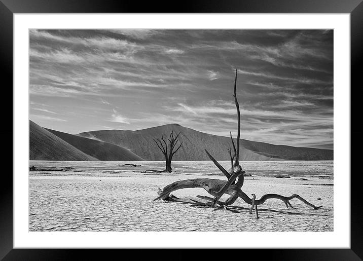 Dead Tree Desert Namibia Framed Mounted Print by Ian McMurray