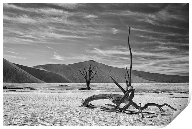 Dead Tree Desert Namibia Print by Ian McMurray