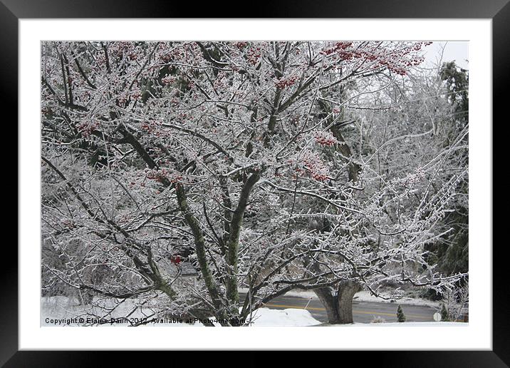 Winter Snow Framed Mounted Print by Elaine Darin