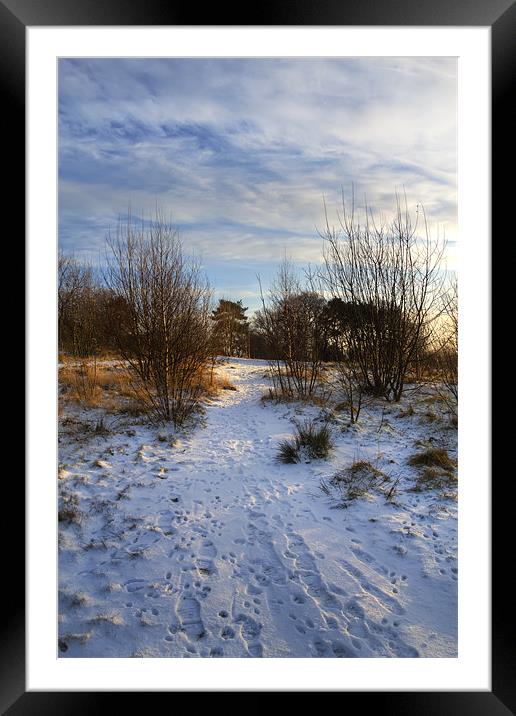Winter path. Framed Mounted Print by Kevin Tate