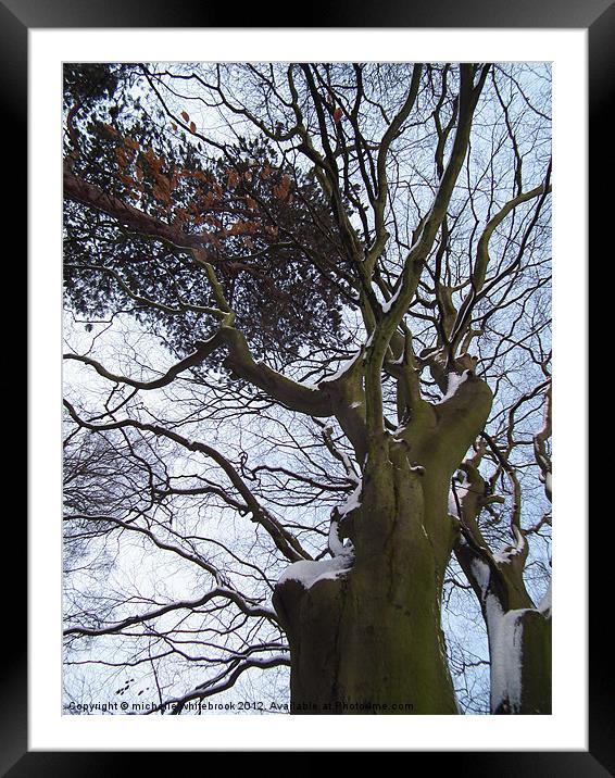 Snowy Tree Framed Mounted Print by michelle whitebrook