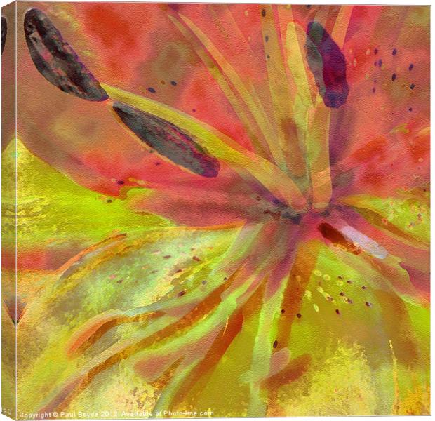 Red Burst Canvas Print by Paul Boyce