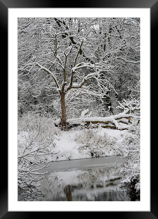 winters day 2 Framed Mounted Print by linda cook
