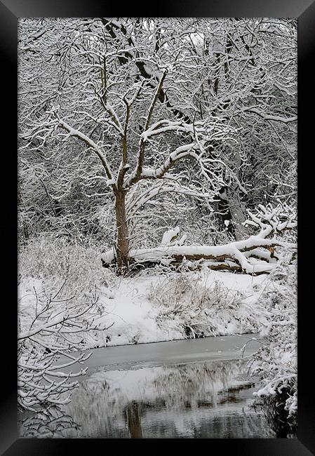 winters day 2 Framed Print by linda cook