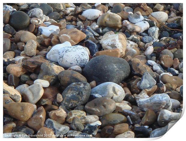 Pebbles on the shore Print by Lyn Goodchild