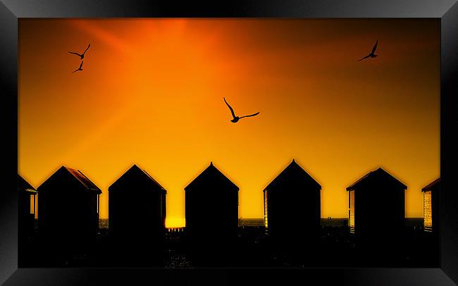 Amber Huts Framed Print by Louise Godwin