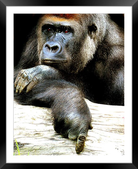 The thinker Framed Mounted Print by Alan Mattison