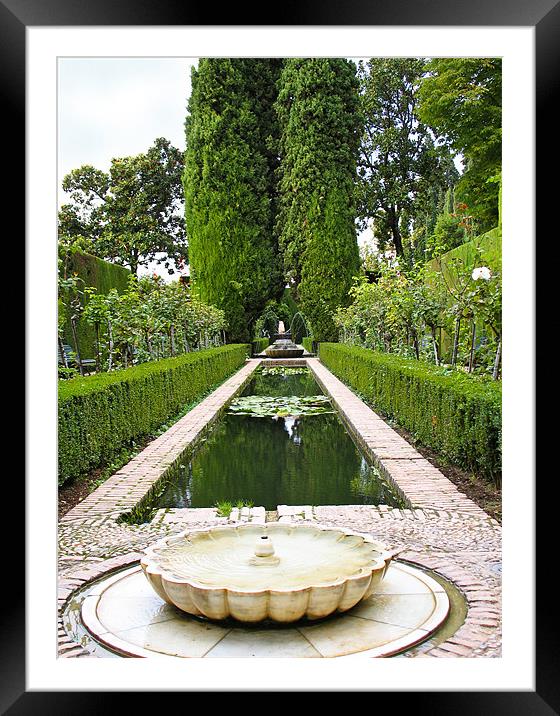 Alhambra Garden Framed Mounted Print by Jacqi Elmslie