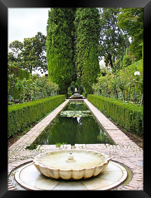 Alhambra Garden Framed Print by Jacqi Elmslie