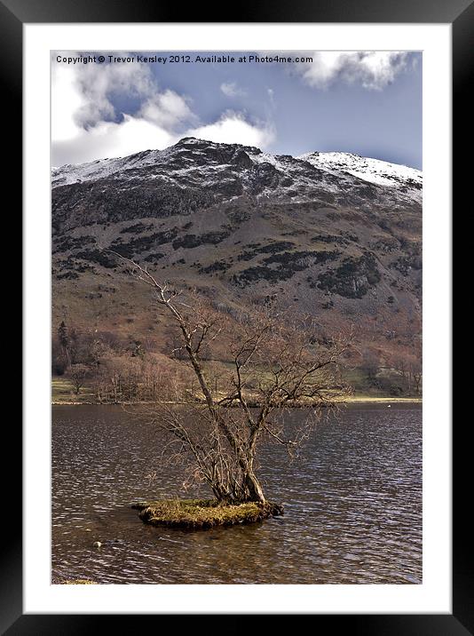 Lone Tree - Ullswater Framed Mounted Print by Trevor Kersley RIP