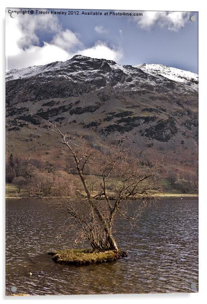 Lone Tree - Ullswater Acrylic by Trevor Kersley RIP