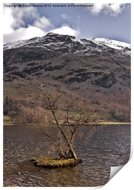 Lone Tree - Ullswater Print by Trevor Kersley RIP