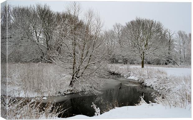 a winters day 3 Canvas Print by linda cook