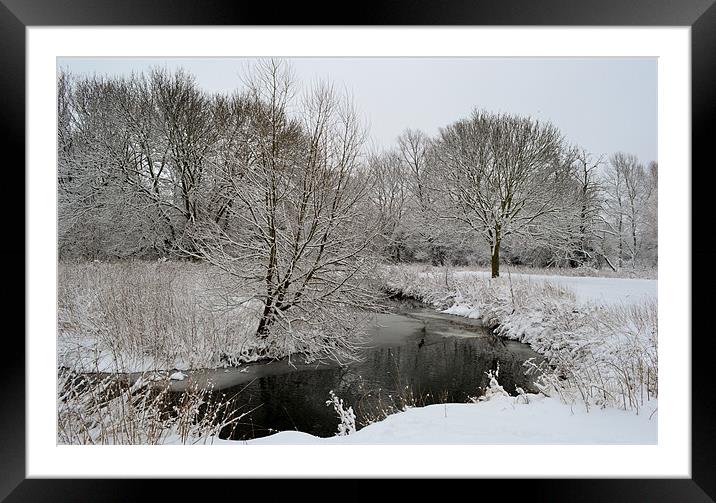 a winters day 3 Framed Mounted Print by linda cook