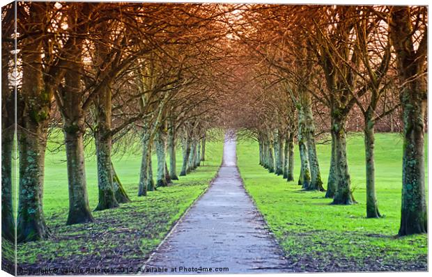 Path To The Castle Canvas Print by Valerie Paterson