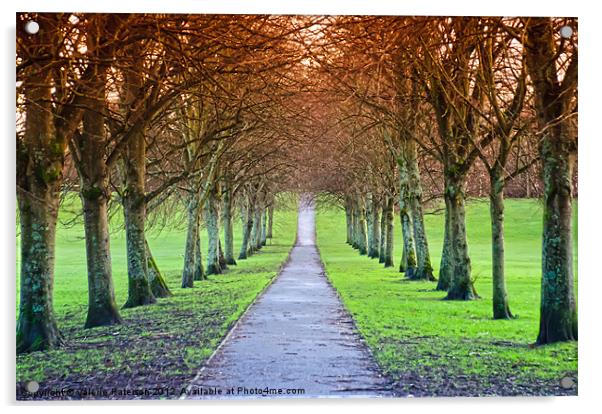 Path To The Castle Acrylic by Valerie Paterson