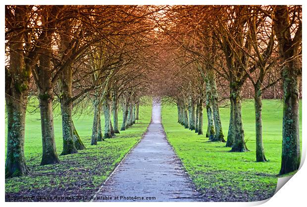 Path To The Castle Print by Valerie Paterson
