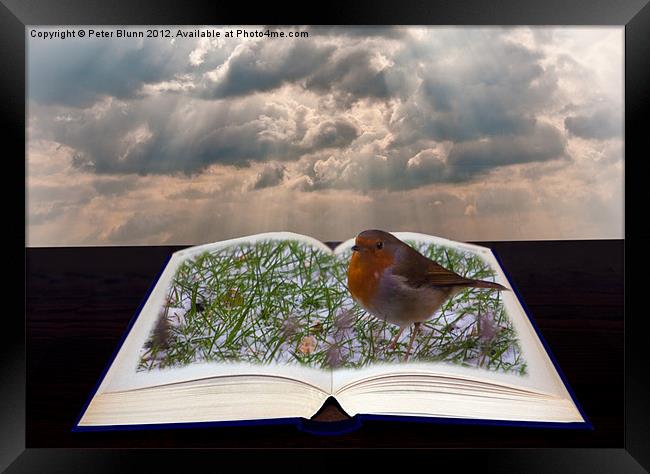 Pop-up open Book with Robin Framed Print by Peter Blunn