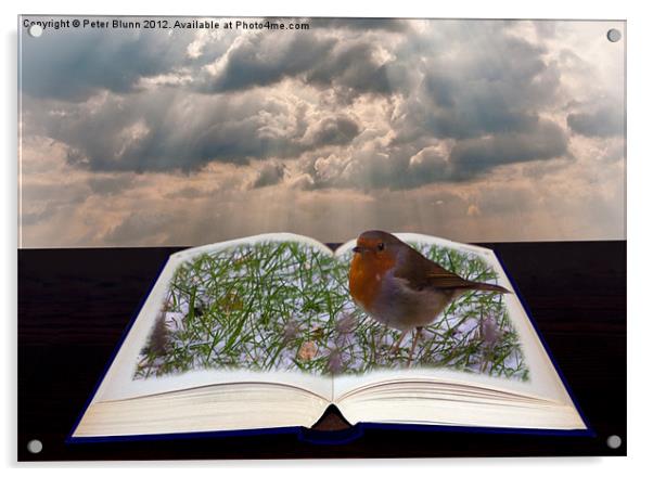 Pop-up open Book with Robin Acrylic by Peter Blunn