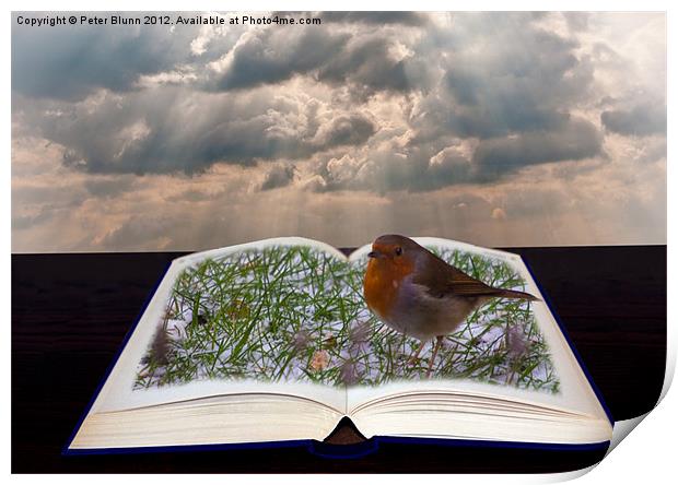 Pop-up open Book with Robin Print by Peter Blunn