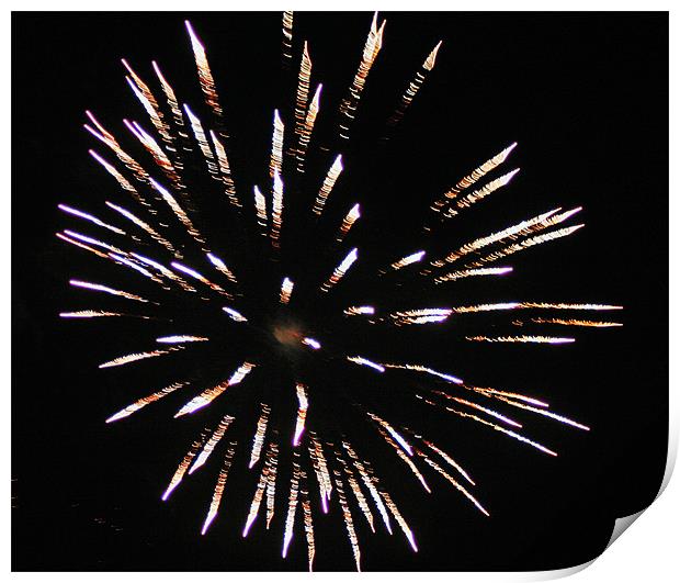 Beautiful Fire Works Print by Larry Stolle