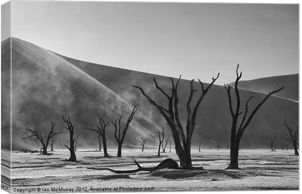 Desert Dust Storm Canvas Print by Ian McMurray
