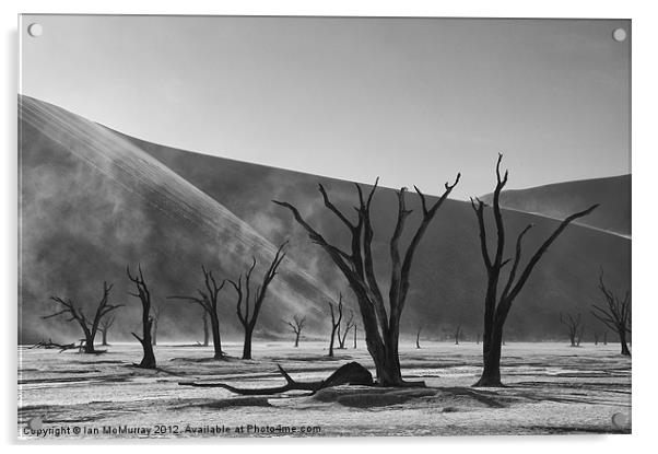 Desert Dust Storm Acrylic by Ian McMurray
