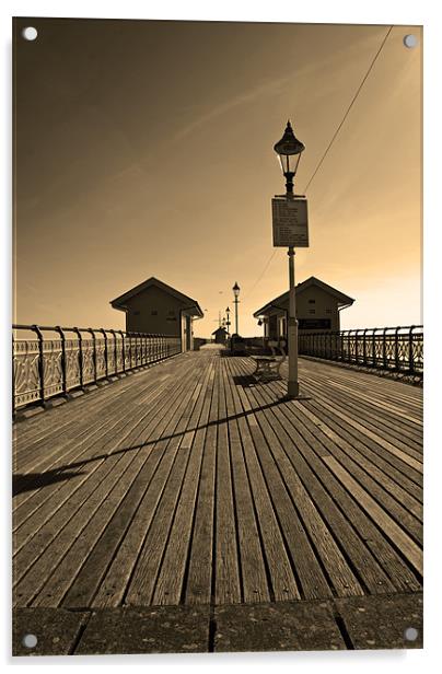 Penarth Pier in Sepia Acrylic by Steve Purnell