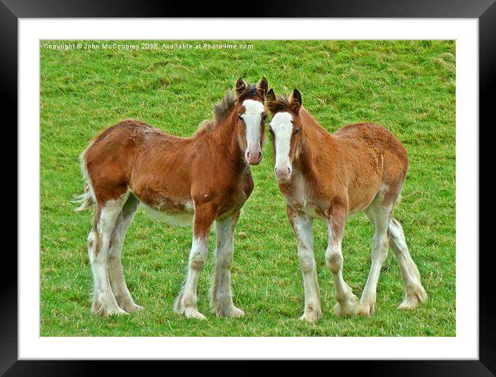 Best Friends Framed Mounted Print by John McCoubrey