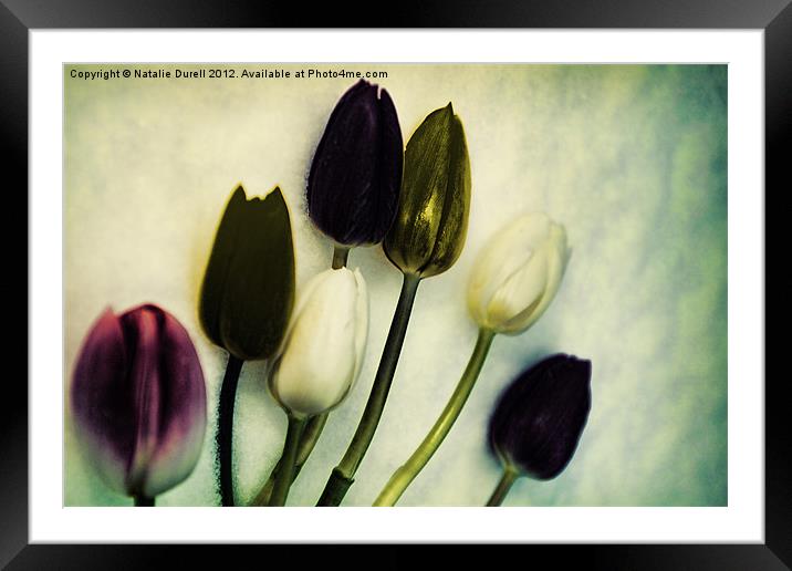 Tulip Ghosts Framed Mounted Print by Natalie Durell