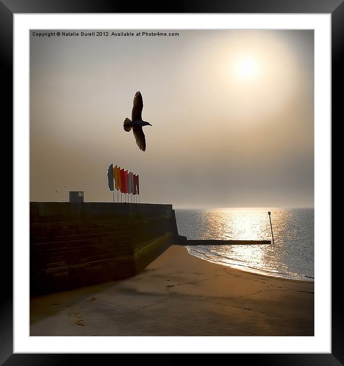 Free As.... Framed Mounted Print by Natalie Durell