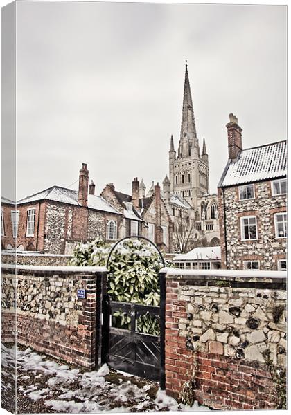 Looking Through to Norwich Cathedral Canvas Print by Paul Macro