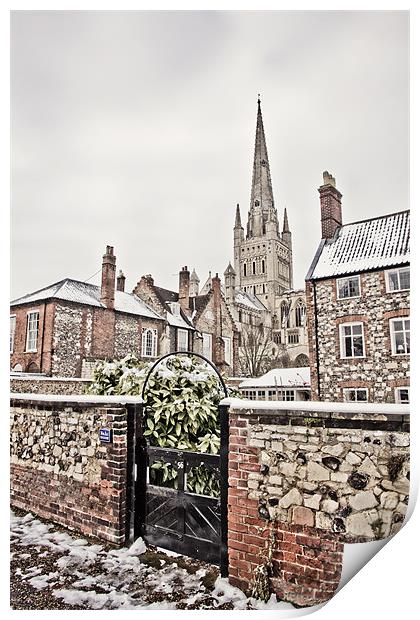 Looking Through to Norwich Cathedral Print by Paul Macro