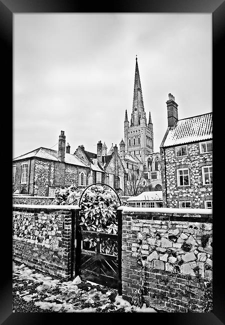 Looking Through to Norwich Cathedral Mono Framed Print by Paul Macro