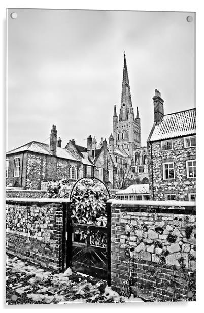 Looking Through to Norwich Cathedral Mono Acrylic by Paul Macro