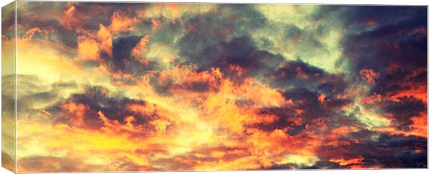 Sunset Storm Canvas Print by Alex Hooker