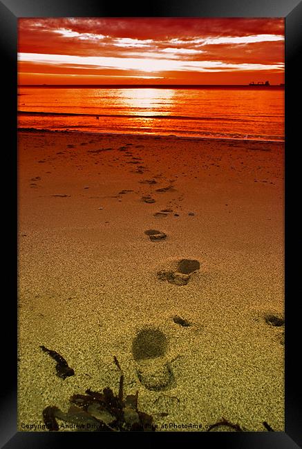 Footsteps Framed Print by Andrew Driver
