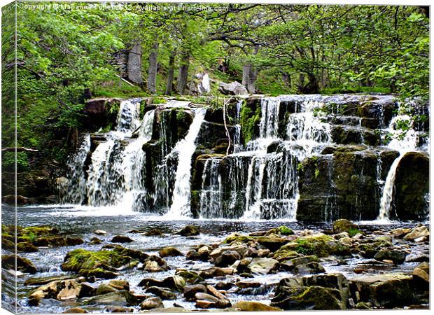 Waterfall in Yorkshire Canvas Print by Marianne Fuller